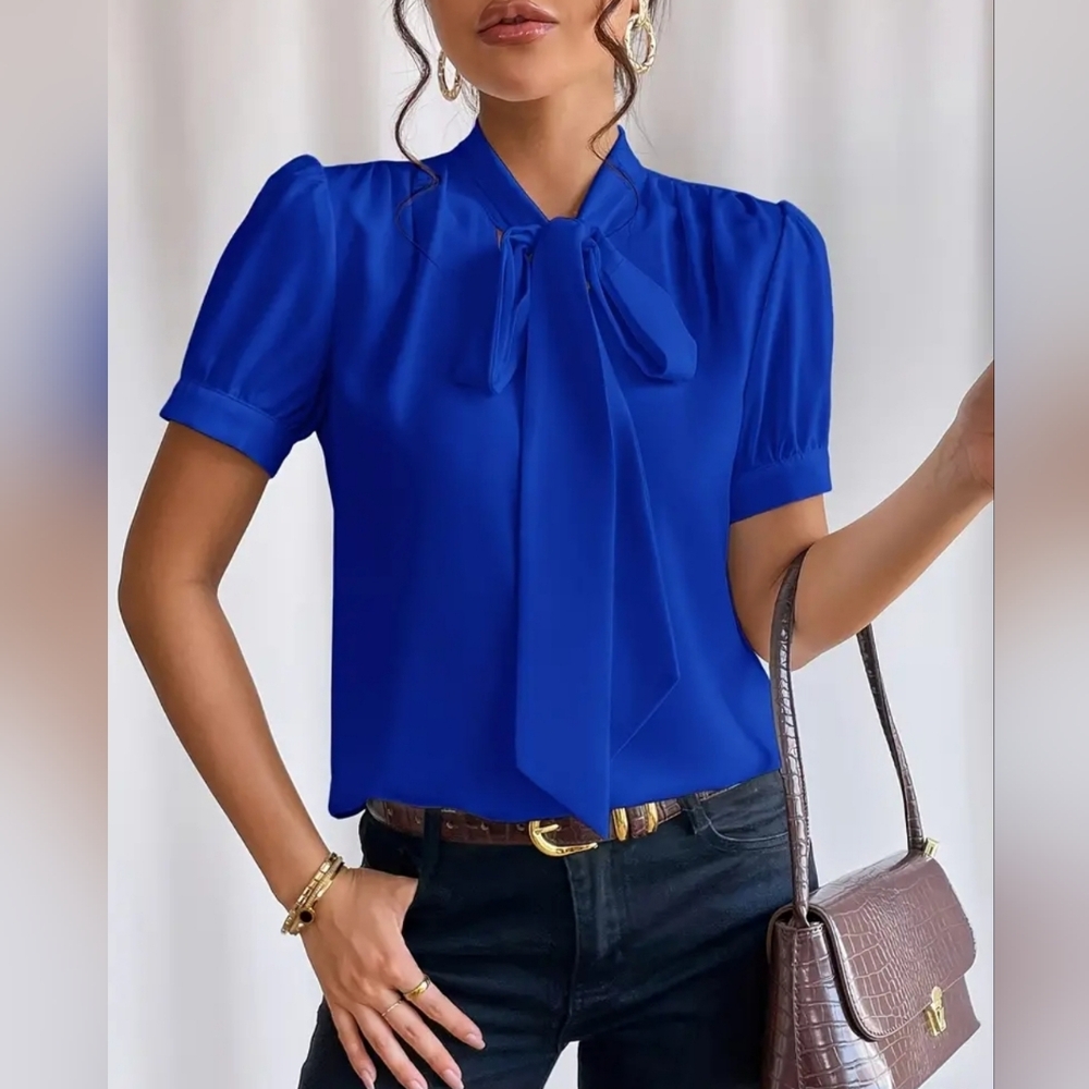 Womens Plus Size Solid Tie Neck Blouse. Various sizes available